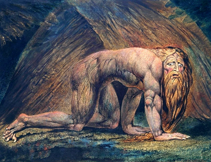 Nabuchodonossor, sujet d'un oratorio de Falvetti (gravure de William Blake)